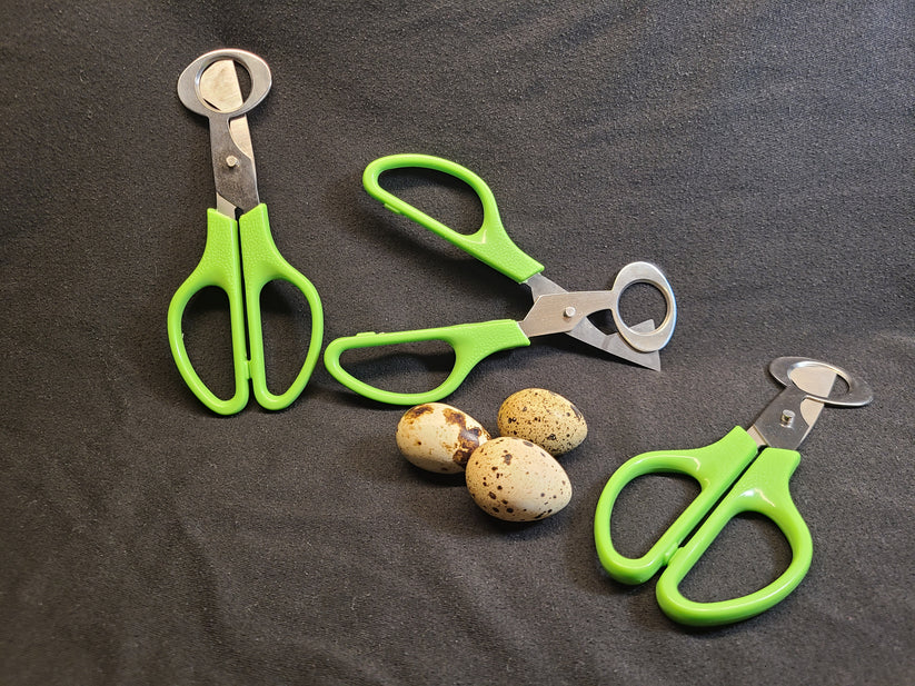 Quail Egg Scissors Grafted Branch